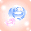 zCgf[̉摜